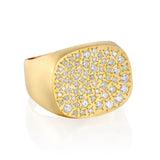 Stardust signet Ring - Danielle Gerber Freedom Jewelry