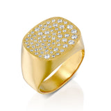 Stardust signet Ring - Danielle Gerber Freedom Jewelry