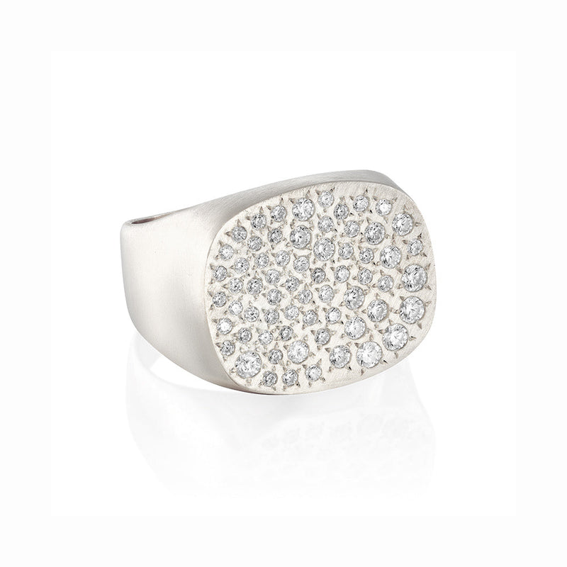 Stardust signet Ring - Danielle Gerber Freedom Jewelry